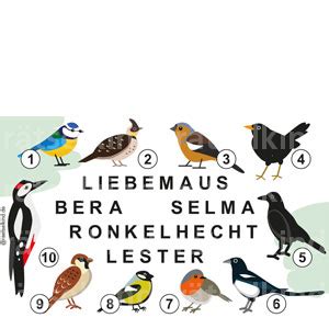 Kinderrätsel Vogel Vögel Singvögel Frühling Buchstabensalat raetselkind