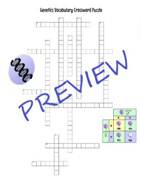 Genetics Vocabulary Crossword Puzzle By Allison Householder TPT