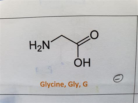 BIOCHIMIE LES PROTÉINES Cartes Quizlet