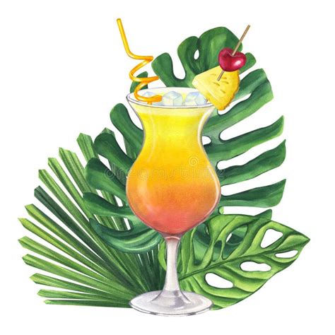 Cocktail Sex On The Beach Tequila Sunrise Tropical Leaves Monstera Licuala Cherry Pineapple