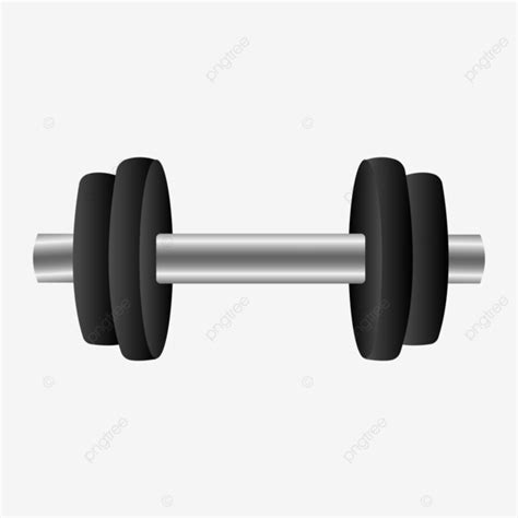 Realistic Dumble Free Vector, Dumble, Gym, Gym Equipment PNG and Vector ...