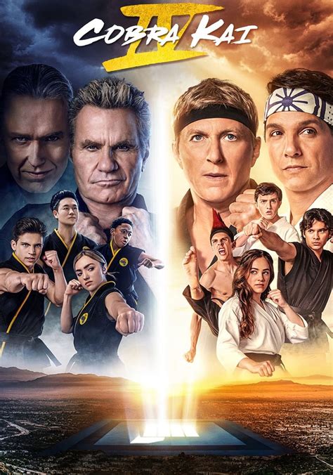 Cobra Kai Staffel Jetzt Online Stream Anschauen