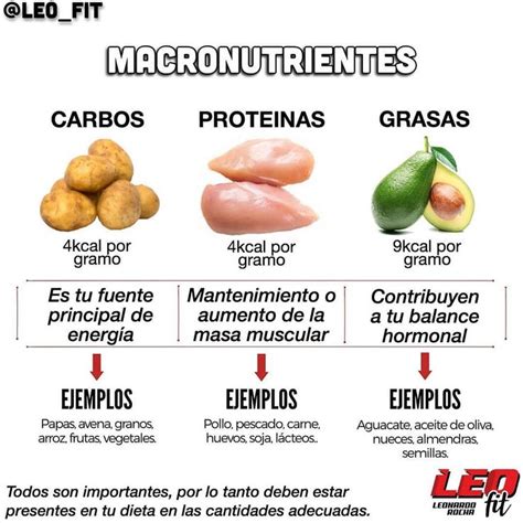 Nutricion Ejercicio Salud On Instagram Tu Gu A De Macronutrientes