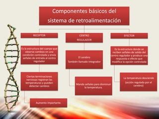 Procesos Vitales PRINCIPIOS DE ANATOMIA PPT