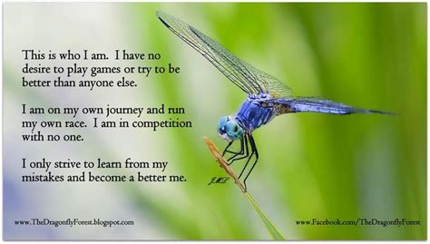 66 best images about Dragonfly quotes on Pinterest | Dragon flies ...