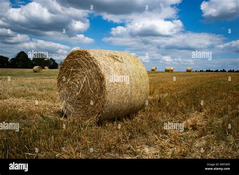 Blowing Straw Hi Res Stock Photography And Images Alamy