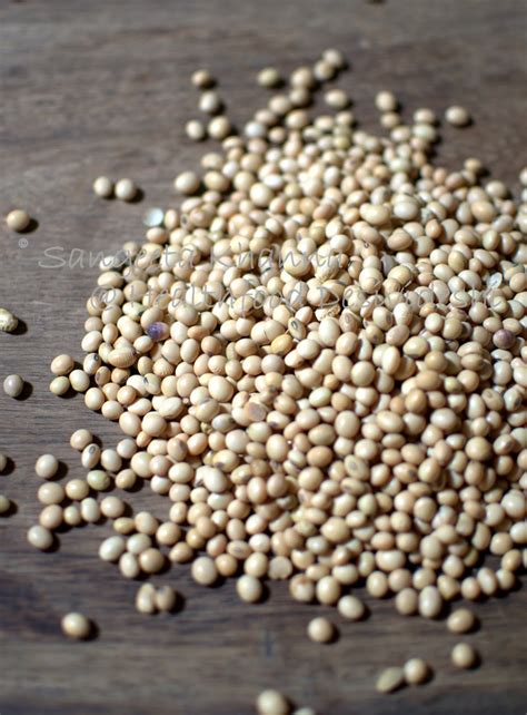 Use Of Soybeans In Traditional Kitchens Of India Native Indian