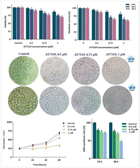 Cdk Blockade Using At Suppresses Acute Myeloid Leukemia Cell