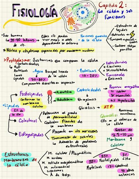 Guyton Fisiología Capítulo 2 Juan Jose uDocz