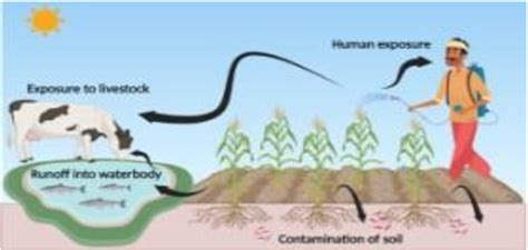 Environmental impacts of pesticide drift | Download Scientific Diagram