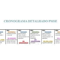 Cronograma De Estudos Detalhado Pmse