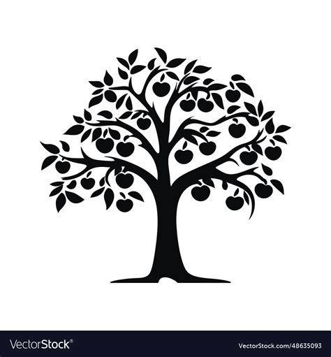 Apple tree elegance Royalty Free Vector Image - VectorStock