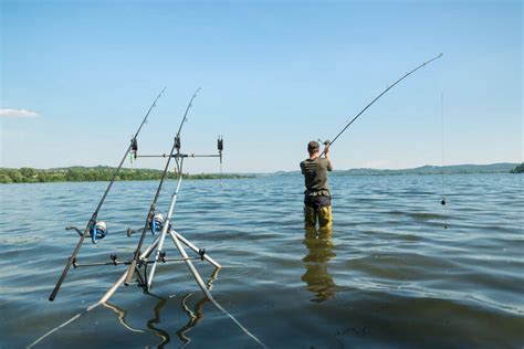 Pesca De Carpas Para Principiantes → La Guía Definitiva 2022