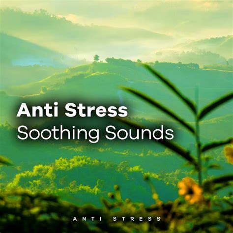 Anti Stress Soothing Sounds Album By Anti Stress Spotify