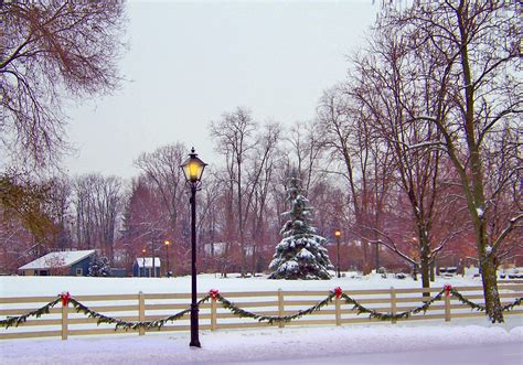 Snowy Field At Christmas Free Stock Photo Public Domain Pictures