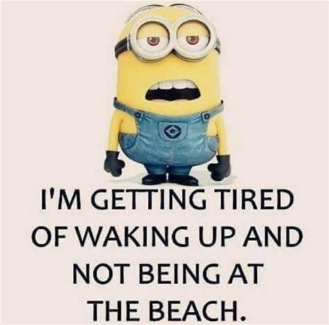 Top 40 Funniest Minions Memes Pics Funny Minions Funny Funny Minion