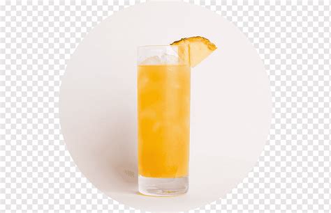 Harvey Wallbanger Fuzzy Navel Cóctel Aderezo Brisa del mar Bebida de