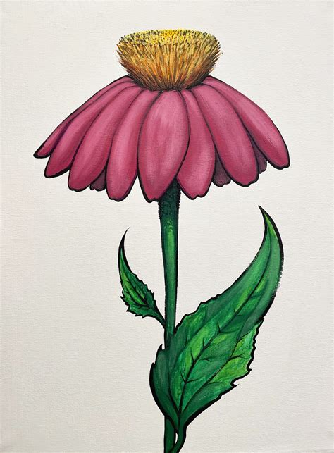 Echinacea Purpurea Bruggman Fine Art