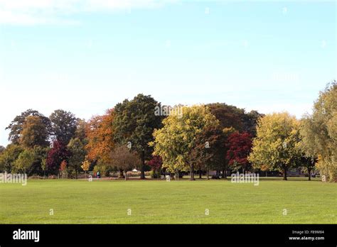 Trees Changing Colour In Autumn In Worden Park Leyland Lancashire