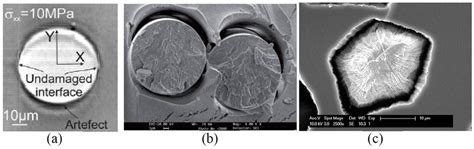 Fiber Matrix Debonding Shown In A Wood And Bradley B Suresh Et