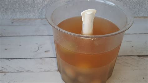 Деликатесница 1.4л Тапервер - YouTube