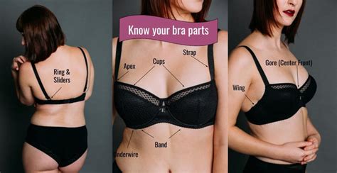 How To Know A Bra Fits Right Fitnessretro