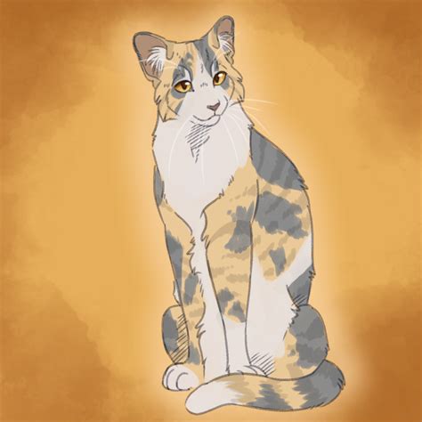 Dilute Calico Tabby Cat