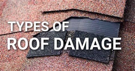 5 Despicable Types Of Roof Damage And What To Do About Them Roof