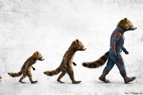 Rocket Raccoon Evolution From Guardians Of The Galaxy Vol 3 4K