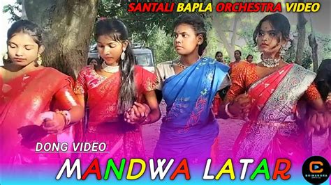 Mandwa Latar Santali Orchestra Video New Santali Bapla Orchestra