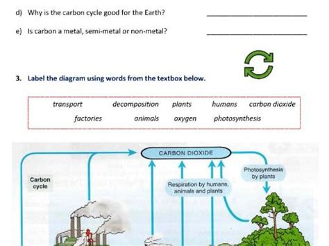 The Carbon Cycle Science Year 7 Teaching Resources