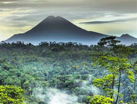 Parque Nacional Sumaco Napo Galera Saga Tev