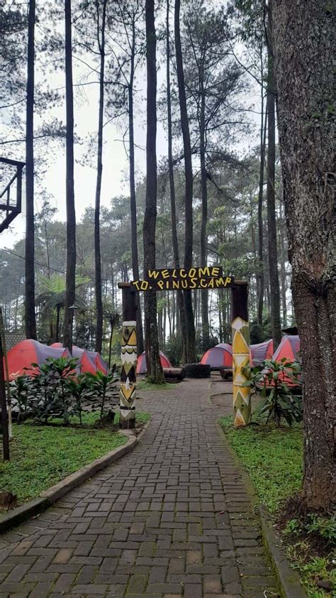 Hutan Mycelia, Wisata Lembang Yang Viral di Garfika Cikole – NativeIndonesia.com