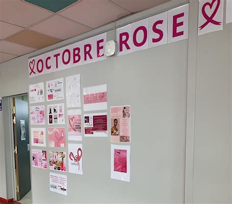 Octobre Rose Mobilisation Inter Lyc Es Contre Le Cancer Du Sein