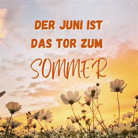 Hallo Juni Bilder Und Spr Che Zum Ersten Sommermonat