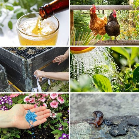 Genius Hacks For Keeping Slugs Out Of Your Garden Diy Crafts