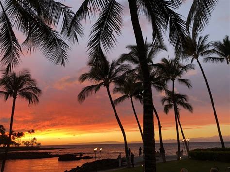 Living in Hawaii: Covid-19 and Island Life - Hawaii Real Estate Market ...