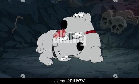 FAMILY GUY, Brian Griffin aka Brian the dog (voice: Seth MacFarlane ...