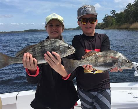 Gallery Of Catches In Destin Fl Inshore Fishing Destin Fl Bay