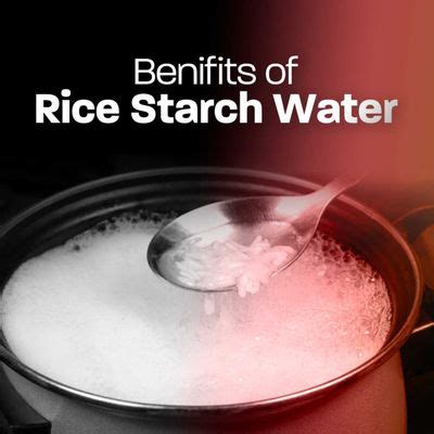 Benefits Of Rice Starch Water Health Podcast With Laxmi Radio Olive