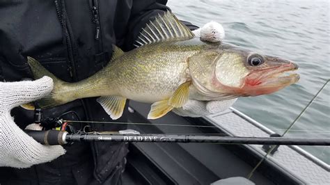 How To Use Blade Baits To Jig For Walleye Walleye Fishing Tips