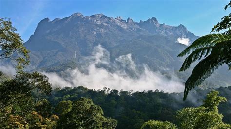 11 Best Hotels In Kinabalu National Park Malaysia