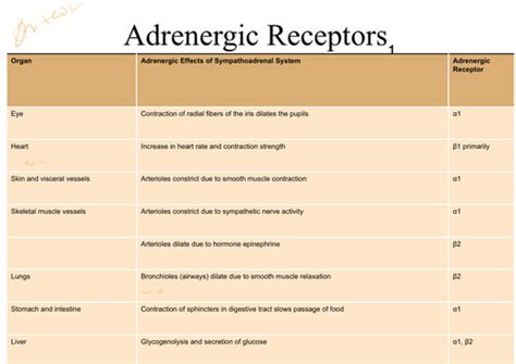 Phys Lecture Exam Ch Flashcards Quizlet