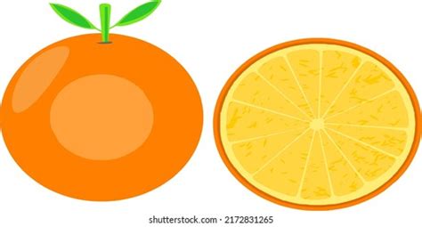 Vector Two Simple Peeled Oranges Stock Vector Royalty Free 2172831265