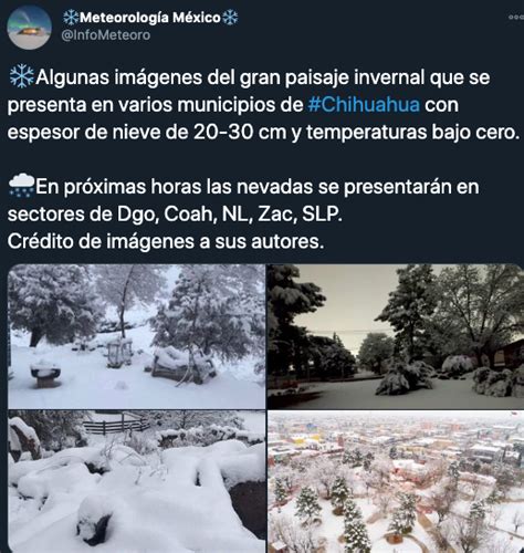 Las Impactantes Imágenes De La Nevada En Chihuahua Infobae