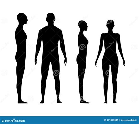 Human Body Silhouette Vector