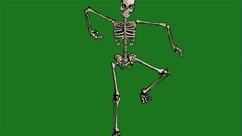 Skeleton Animation Youtube