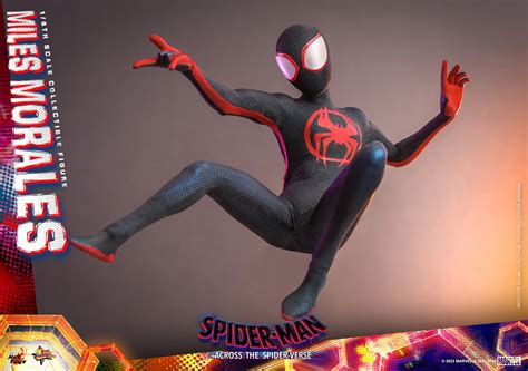Miles Morales Mms Hot Toys Spider Man Accross The Spider Verse