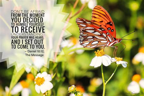 Butterflies & Beggar’s Ticks – Blue Cotton Memory