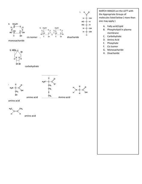 Ch 5 Identify Macromolecules Cis Isomer Disacharide Monosacharide